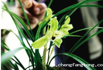 宣城将举办2019皖东南名品展销会暨年货节